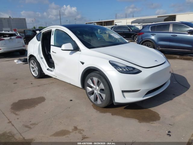 Tesla Model Y Image 1