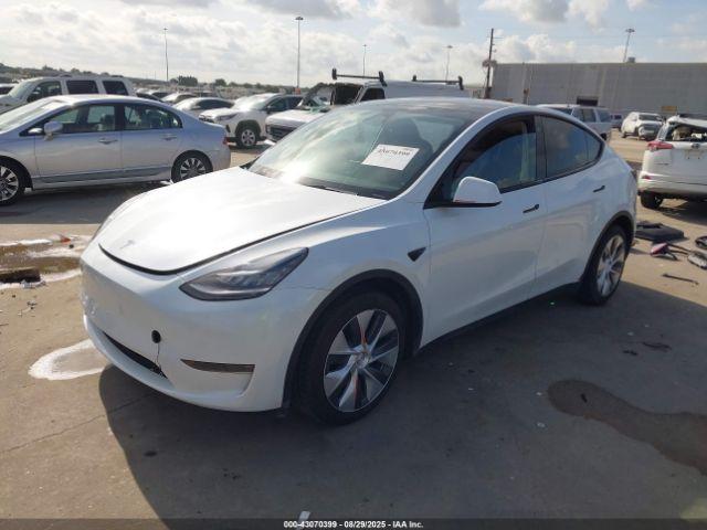 Tesla Model Y Image 3