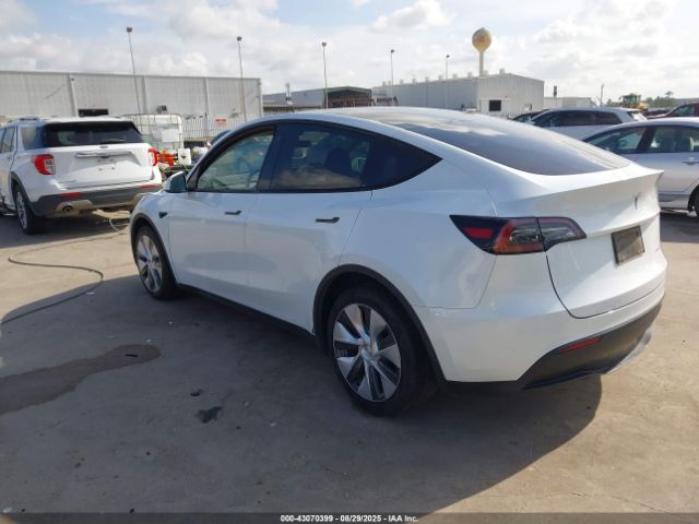Tesla Model Y Image 7