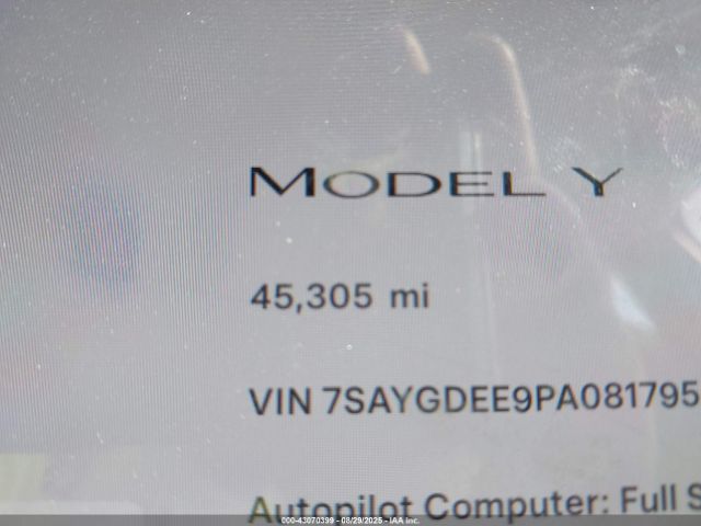Tesla Model Y Image 19