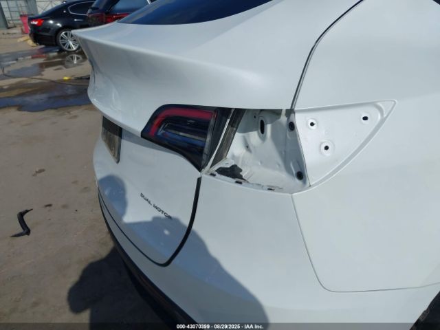 Tesla Model Y Image 10