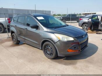  Salvage Ford Escape