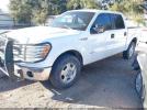 Ford F-150 Xlt Image 6