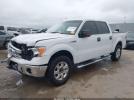 Ford F-150 Xlt Image 5