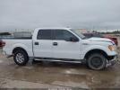 Ford F-150 Xlt Image 14