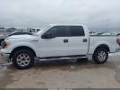 Ford F-150 Xlt Image 16