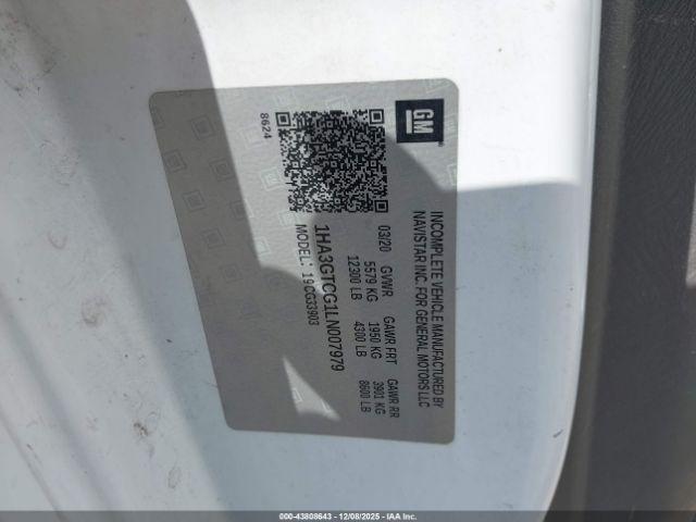 Chevrolet Express Work Van Image 7