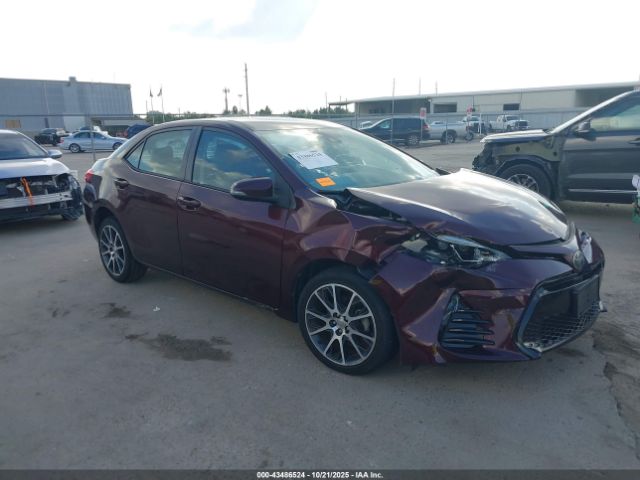 Toyota Corolla Se Special Edition Image 1