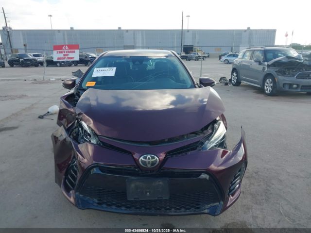 Toyota Corolla Se Special Edition Image 10