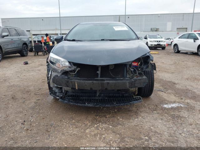 Toyota Corolla Le Image 8